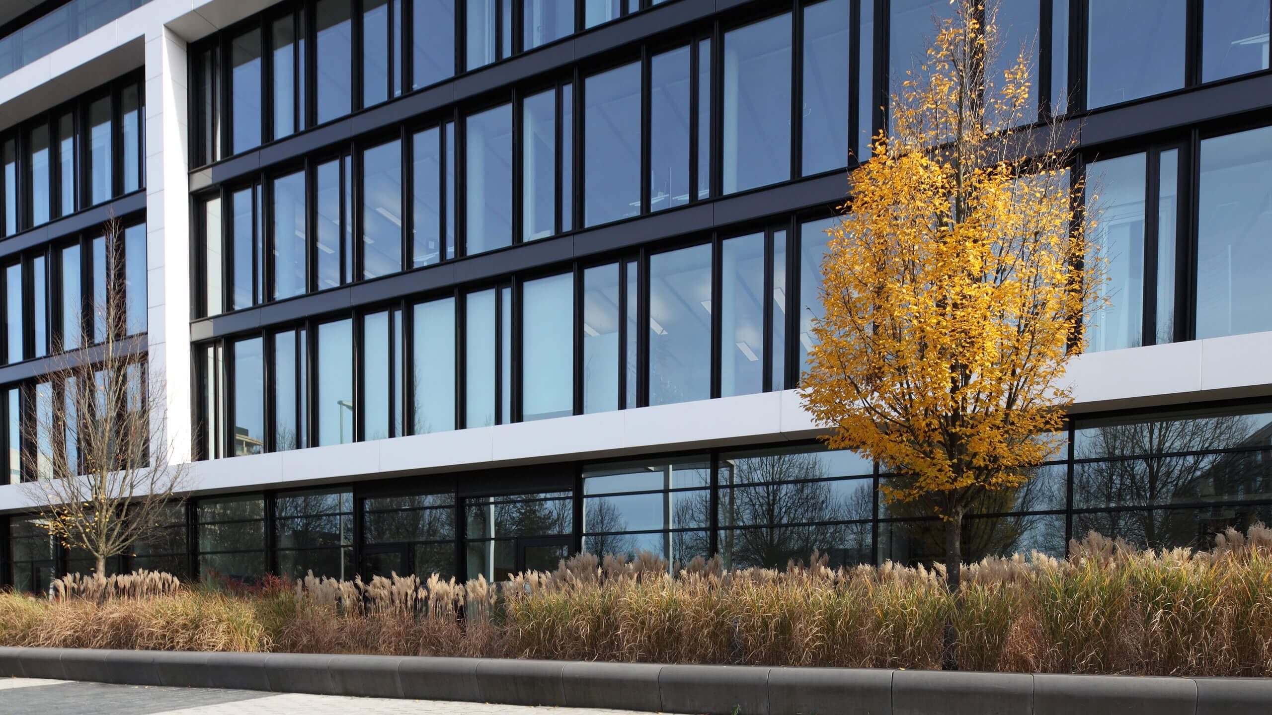 Fenster- und Außenansicht eines Bürogebäudes